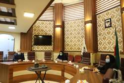 برگزاری نشست مشورتی کمیته صیانت از حقوق شهروندی دانشکده بهداشت